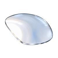 EyeBuddy clear lens option