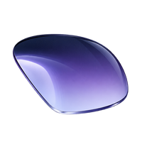 EyeBuddy Gradient Tint blue lens option