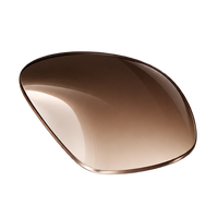 EyeBuddy Gradient Tint brown lens option