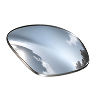 EyeBuddy Mirrored grey lens option