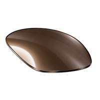 EyeBuddy Polarized brown lens option