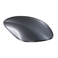 EyeBuddy Polarized grey lens option